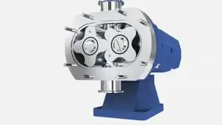 SX Rotary Pump