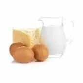 Milk Processing Equipment