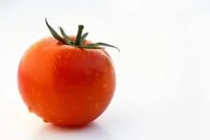 Tomato processing solutions