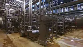 Sanitary Pump Options