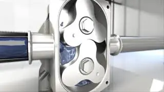 rotary lobe pump