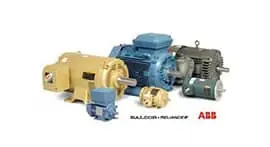Sanitary Pump Motors