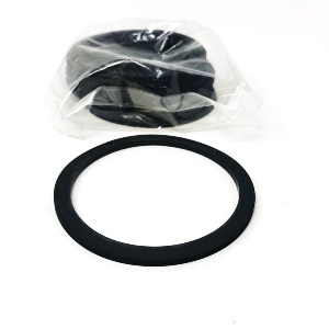 Flat Gasket 12/PK J800533