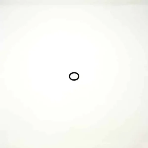 Alfa Laval Sample Valve O-Ring