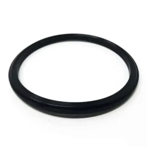 Alfa Laval Gasket Body 4" Buna