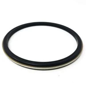 Alfa Laval Gasket Body 4" Buna w/ SS Ring