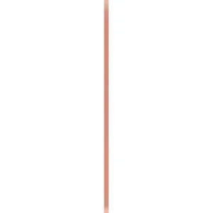 Remco Ultra Hygiene Handle 67" Red