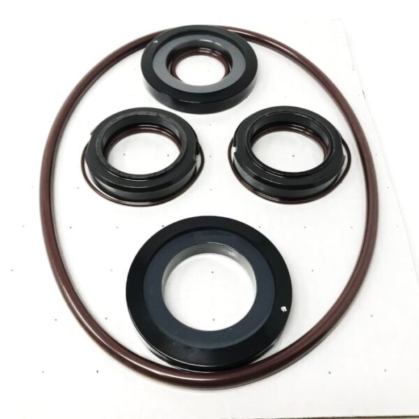 SPX 200 Series Seal Kit #4 2085 Viton 309-255