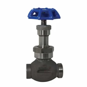 Strahman Globe Valve Blue Handle Union Connection