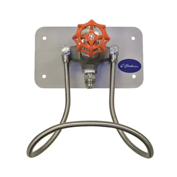 Strahman M-756 Wall Mounted Hose Station Hot Water Globe Valve
