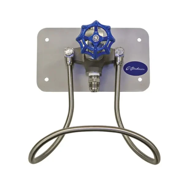 Strahman M-756 Cold Water, Stainless, Wall-Mounted, Globe Valve Top Entry, Mounting Plate